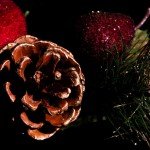 Pinecones